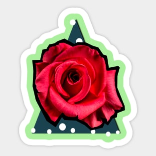 POP ROSE Sticker